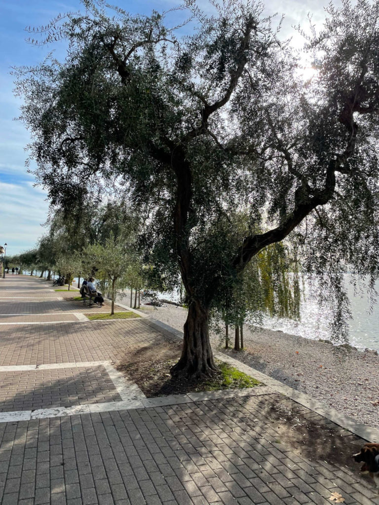 Uferpromenade Garda